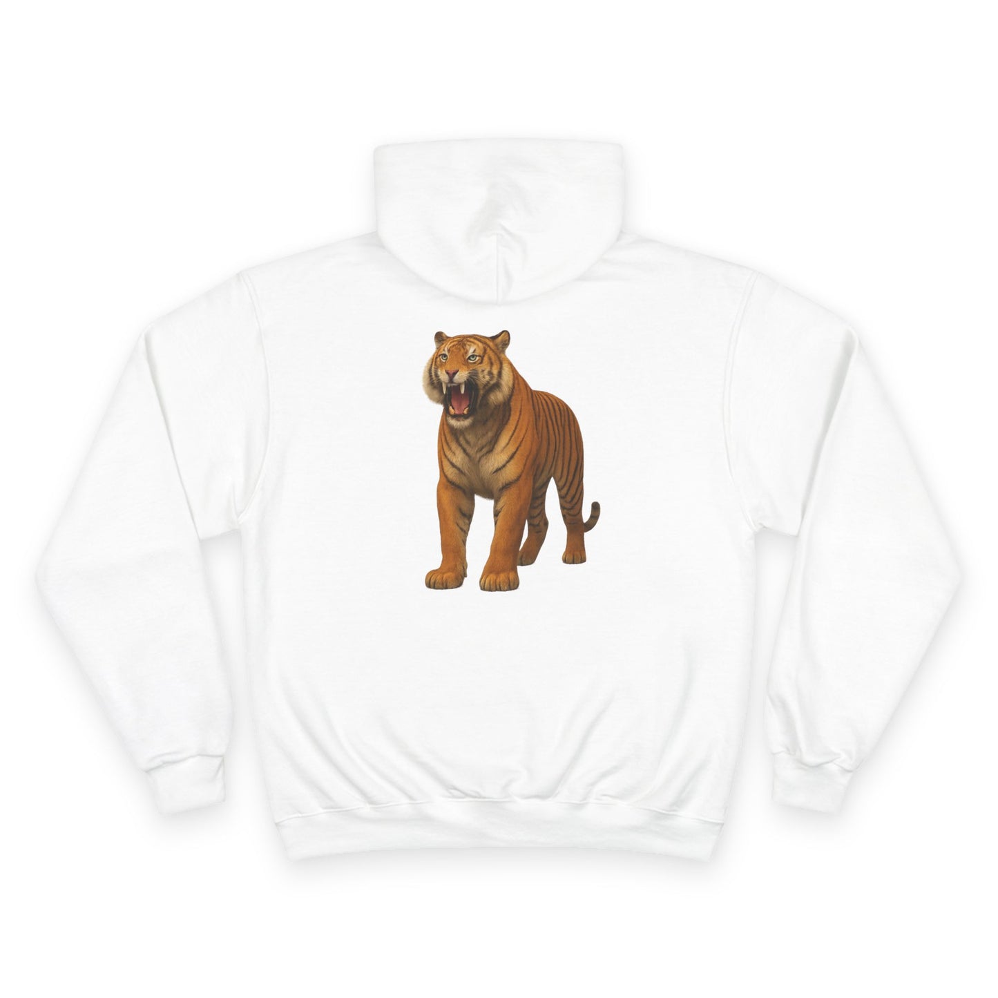 Shikaari Originals x Champion Hoodie
