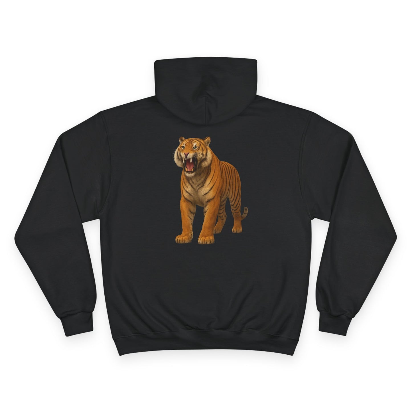 Shikaari Originals x Champion Hoodie